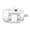 Baldor CEWDM4112T 20 HP TEFC Wash-Down Motor, 3-Phase