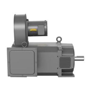 Baldor IDDRPM25506 50 HP Drip-Proof Inverter Duty Motor, 1140 RPM