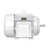 Baldor JMEWDM4313T 75 HP Electric Motor, TEFC, 3-Phase, 60 Hz