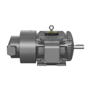 Baldor ZDM4102T Vector Motor, TEBC, 286T Frame, 6-Pole