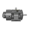 Baldor ZDM4115T Vector Motor, TEBC, 326T Frame, 4-Pole