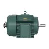Baldor ZDVSM4314T 60 HP TEFC Inverter Duty Electric Motor, 364T Frame