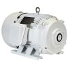 NAE PC364T-60-4 60 HP Rotary Phase Converter Motor, 460V