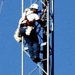 Rohn VP30065 Rohn 65G Tower 300 Foot Climbing Safety Cable System - Vp30065