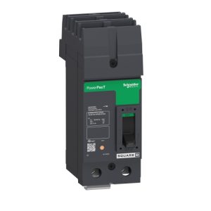 Schneider Electric QJA221001 Circuit breaker, PowerPacT Q, 100A, 2 pole, 240VAC, 100kA