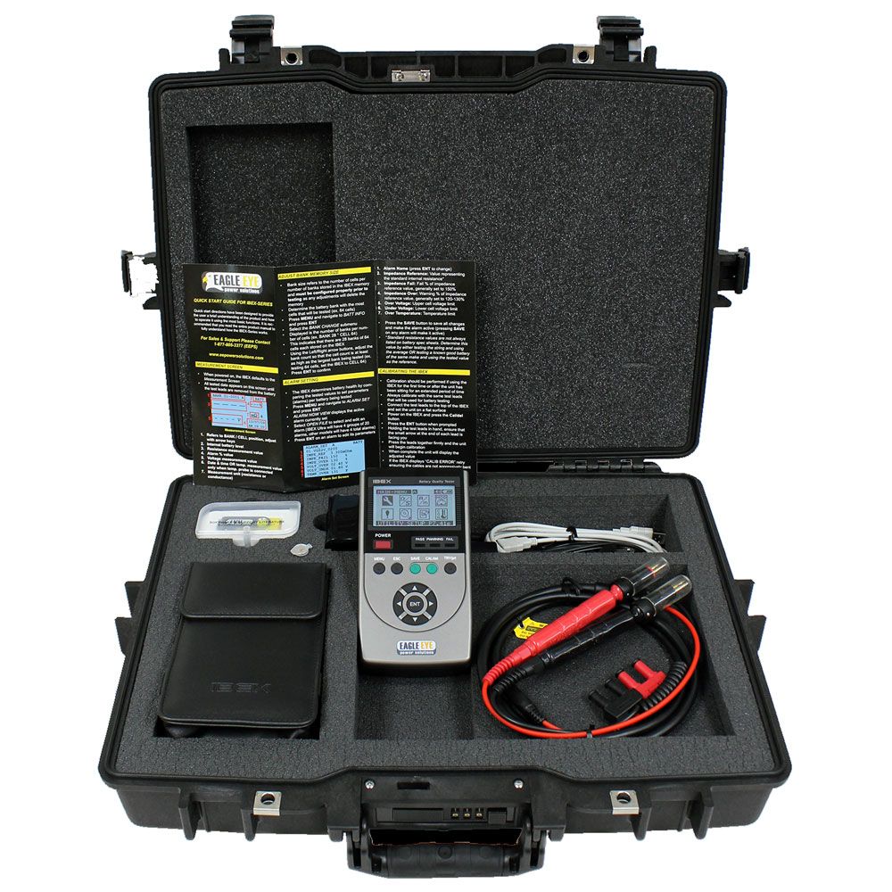Eagle Eye Power Solutions IBEX-EX