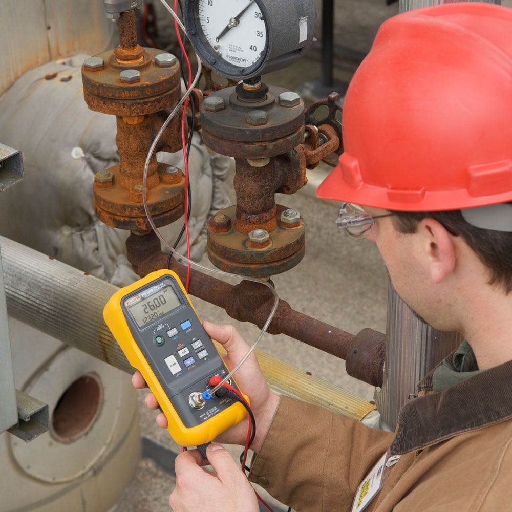 Fluke-7194.jpg